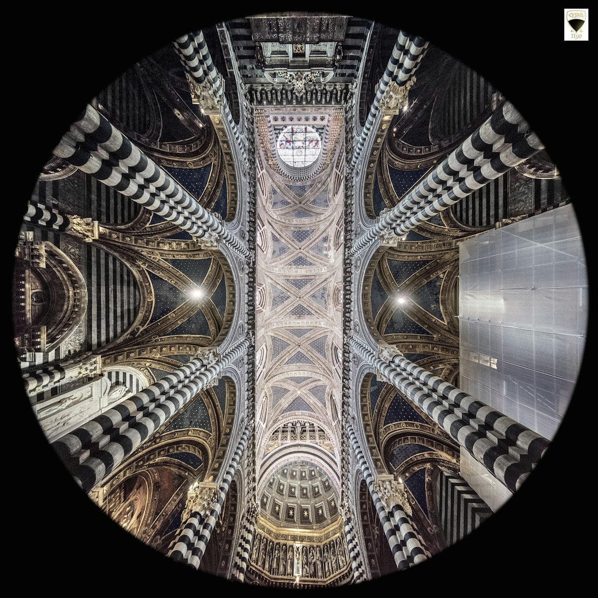 Navata - Cattedrale Metropolitana di Santa Maria Assunta