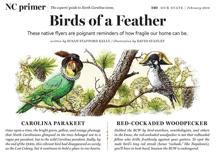BIRDS OF A FEATHER Portfolio Cover
