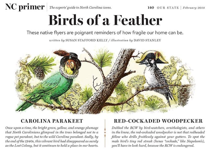 BIRDS OF A FEATHER Portfolio Cover