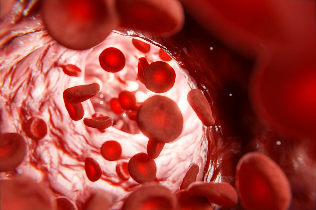 Illustration of red blood cells flowing through an artery representing cholesterol circulation during a cholesterol screening test