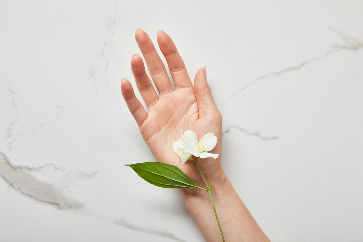 A cropped view of a woman’s hand holding jasmine flowers on a clean white surface, symbolizing softness, beauty, and wellness.