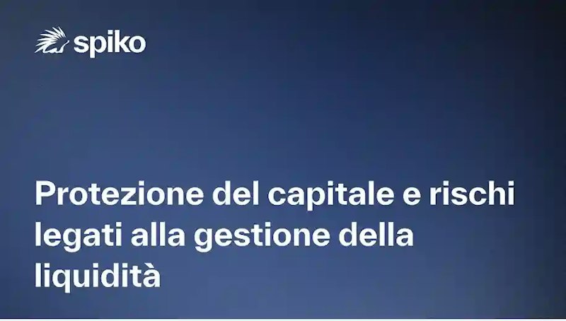 Protezione del capitale e rischi legati all'allocazione della tesoreria
