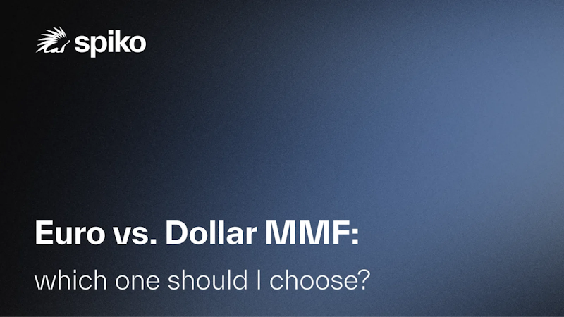 Euro vs. Dollar MMF: which one should I choose?