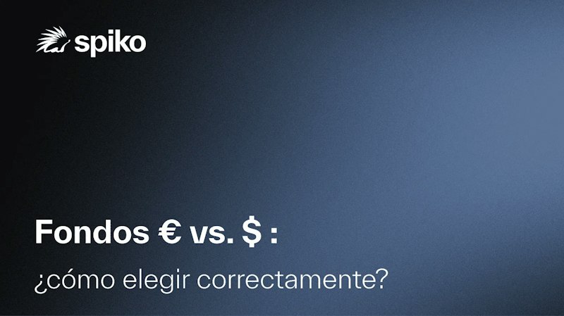 Fondo monetario en euros vs. fondo monetario en dólares: ¿cómo elegir correctamente?
