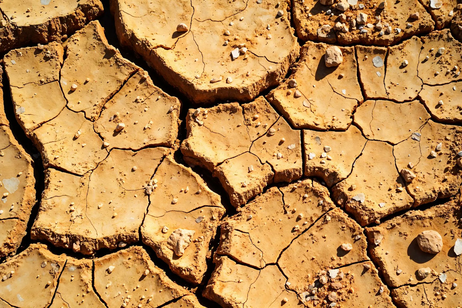 Cracked, dry earth