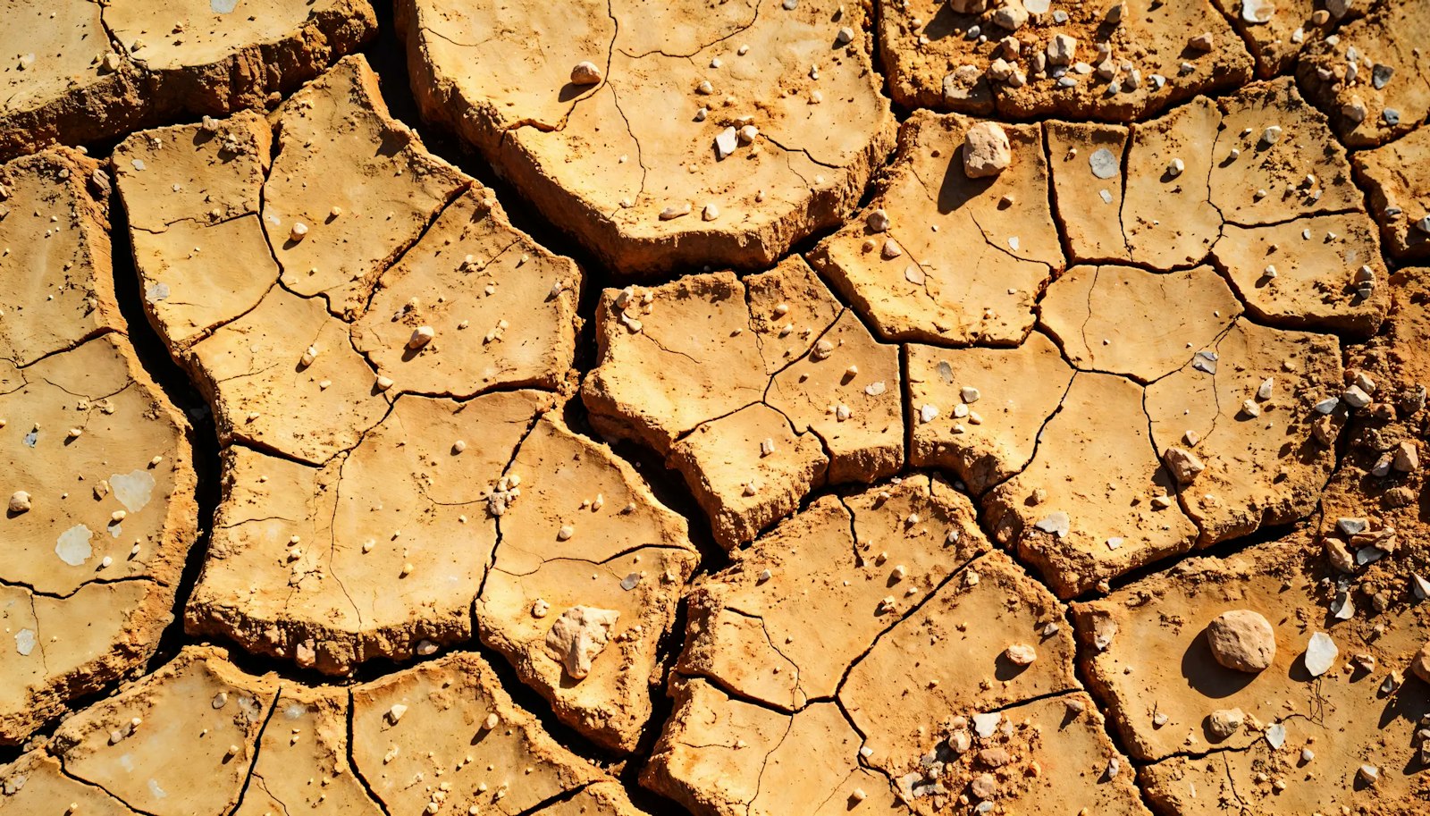Cracked, dry earth