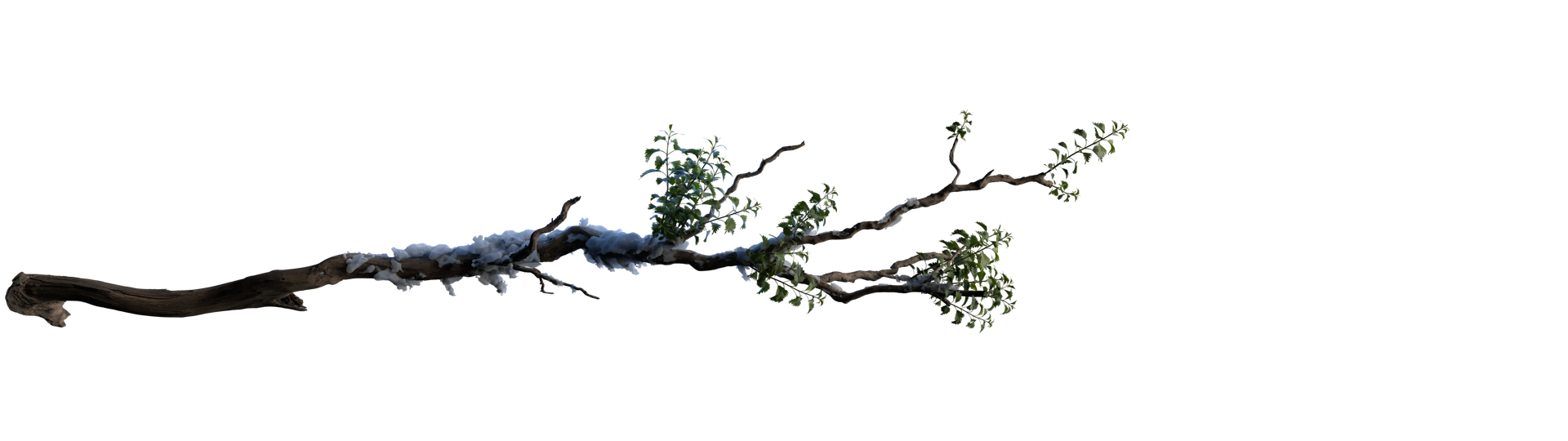 A vine branch coated in Frosco foam