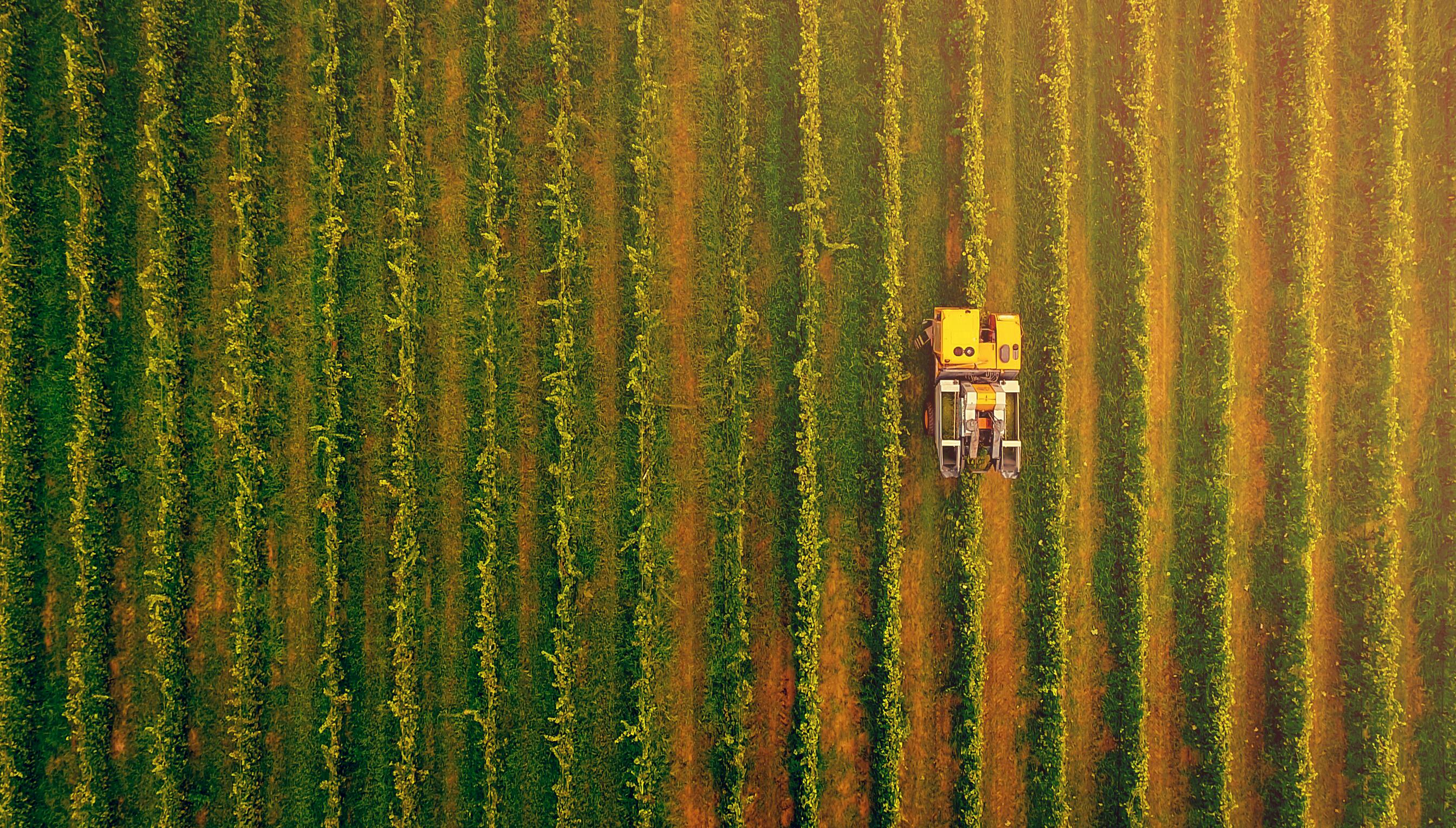 Illustration for the post “Cooling Crops in a Heating World: Foam for Extreme Heat Protection”