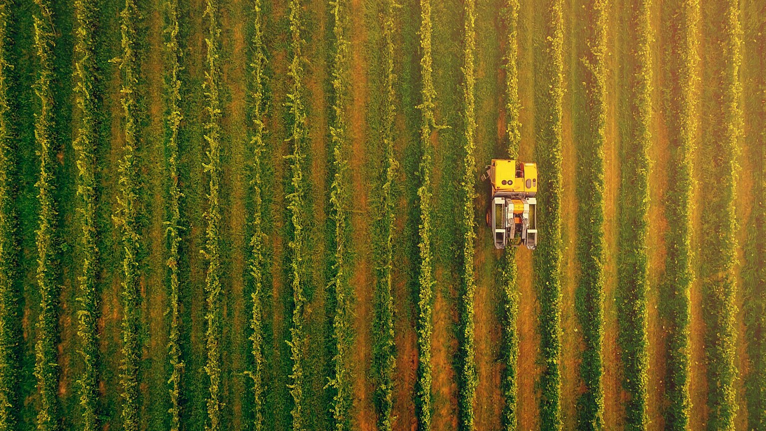 Illustration for the post “Cooling Crops in a Heating World: Foam for Extreme Heat Protection”