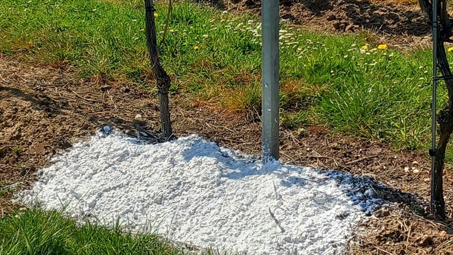 Illustration for the post “More Than Mulch: Can Foam Improve Nutrient Uptake?”