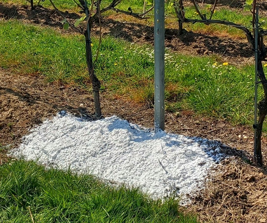 Illustration for the post “More Than Mulch: Can Foam Improve Nutrient Uptake?”