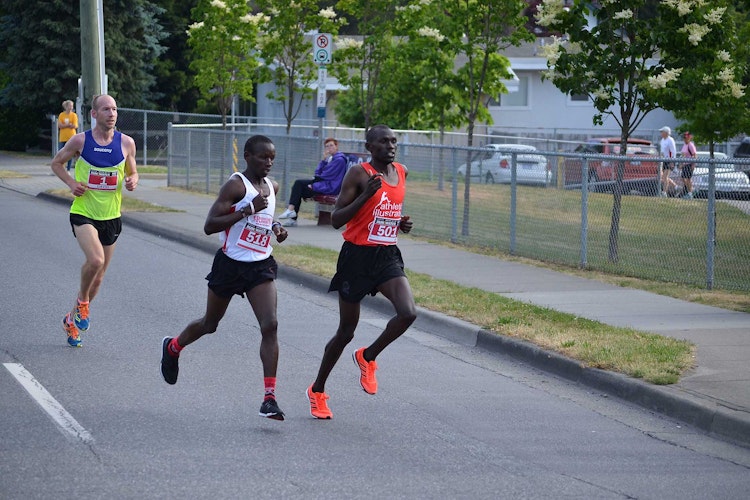 Half Marathon Runners
