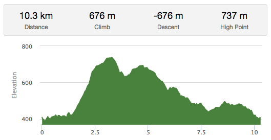 10K Trail Run Elevation