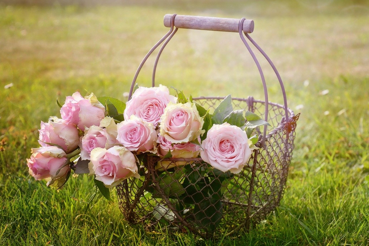 about ikebana