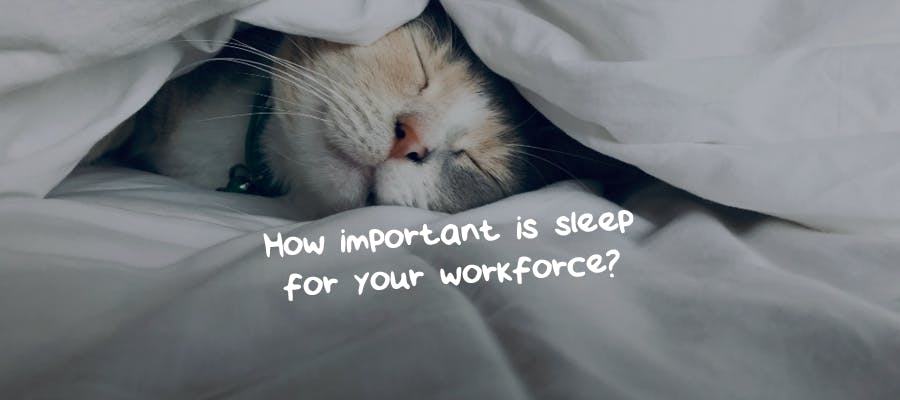 How important is sleep for your workforce? hero image