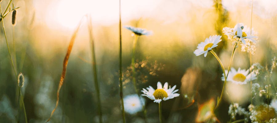 The early May bank holiday is moving: Here’s what employers need to know hero image
