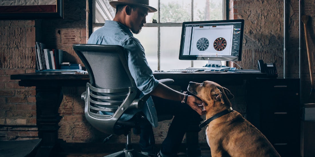 5 steps to dog-proofing your workplace hero image