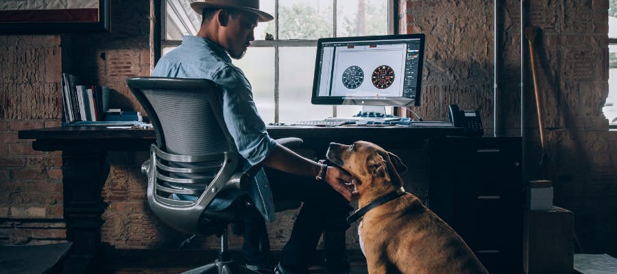 5 steps to dog-proofing your workplace hero image