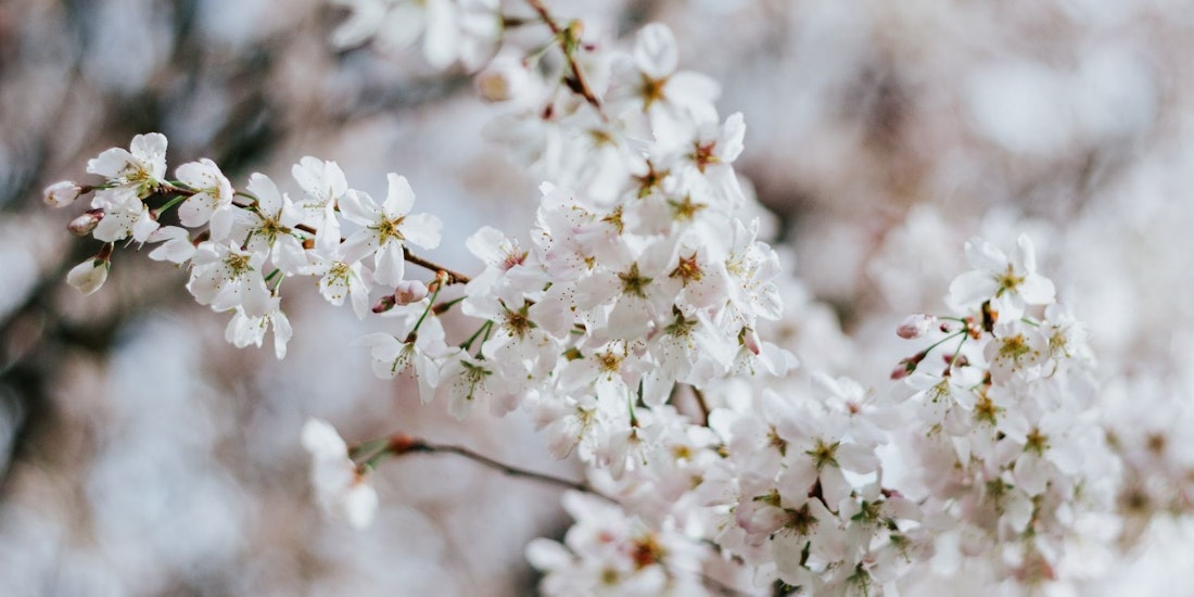 Occupational Maternity Pay BrightHR occupational-maternity-pay-brighthr