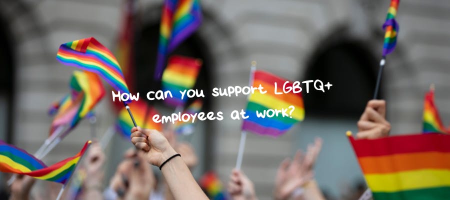 How can you support LGBTQ+ employees at work?