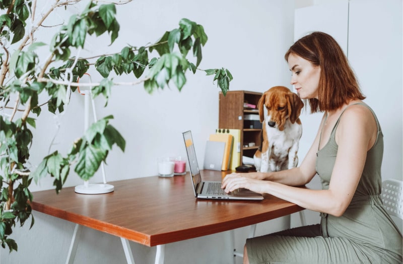 A person working from home with their dog