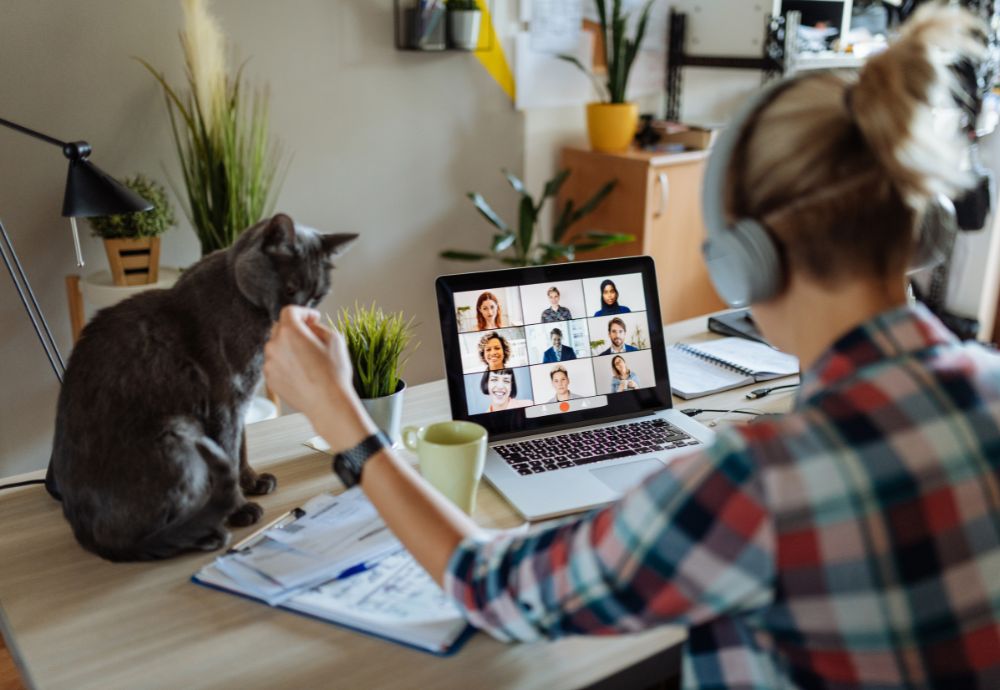 A person working from home with their cat sat on the desk enjoying a good work life balance