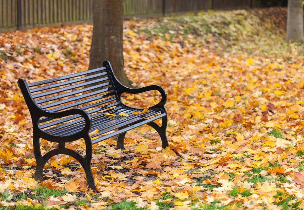 A bench sitting empty due to a bereavement
