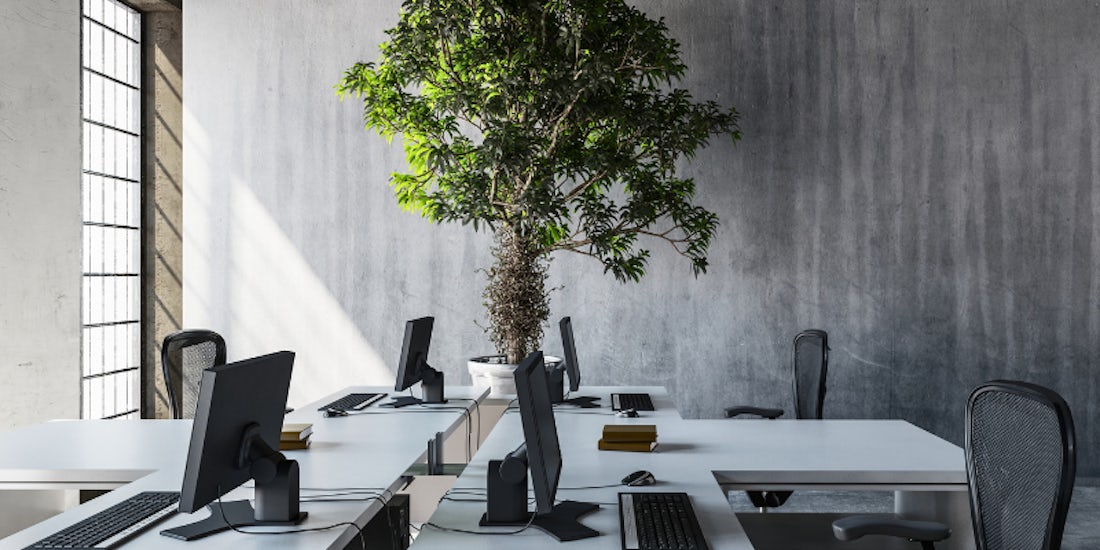 HR Heartbeat: Workplace absence at a 10-year high, three-day working week for over 50s, and… hero image