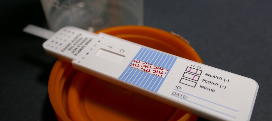 HR Heartbeat: Lessons in terminations, pre-employment drug tests and... hero image