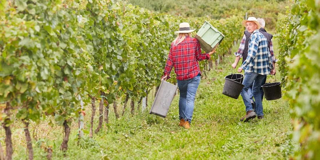 Summer staffing: an employer’s guide to smooth seasonal hiring hero image