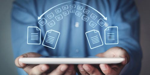 The importance of secure file sharing for modern businesses