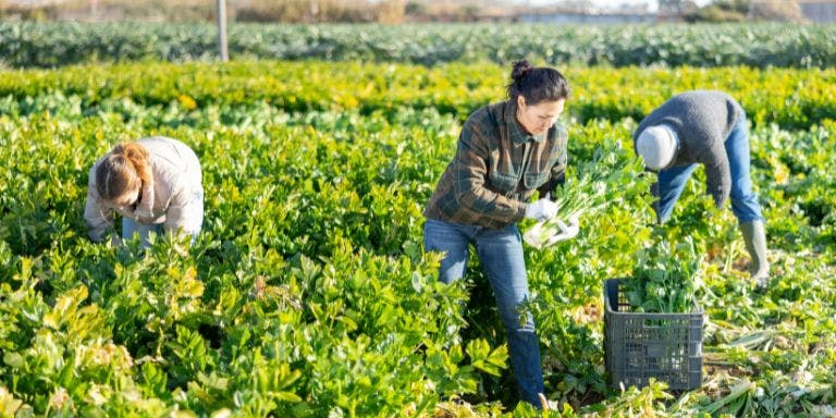 HR Heartbeat: Penalties for exploiting migrant workers, how SMEs are using AI, and...   hero image