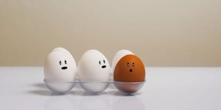 Discrimination at work Five eggs with faces in a glass, symbolising individuality and the need to address discrimination in the workplace.