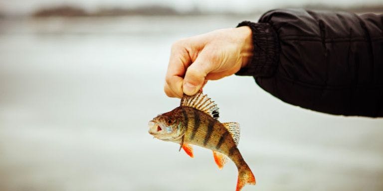 HR Heartbeat: Failure to pay garden leave digs up trouble, phishing advice for SMEs, and…  hero image