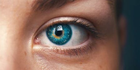 Employee monitoring software Close up of an eye