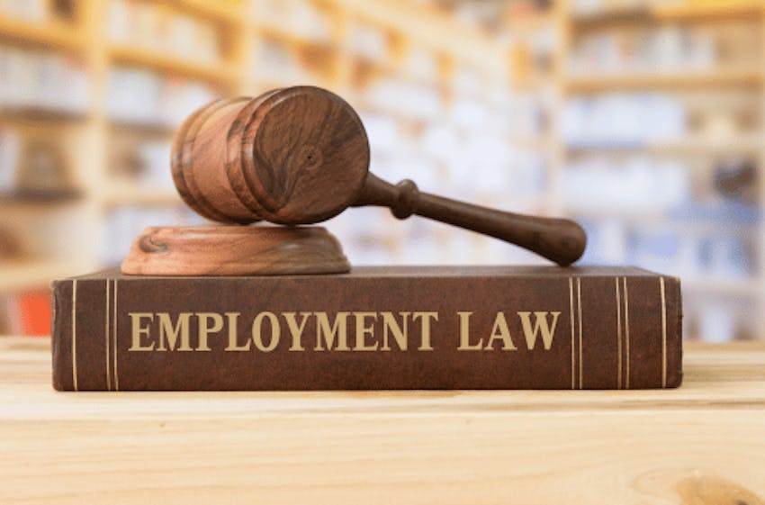 Vital employment law updates from last year and how to stay ahead for 2025 Image