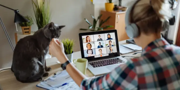 Cat sitting on a desk while a person is o a zoom call