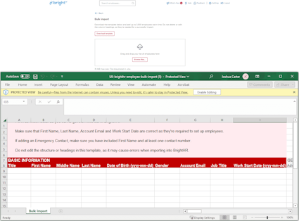 Bulk import template