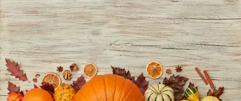 Thanksgiving spread with various sized pumpkins, leaves and orange circles