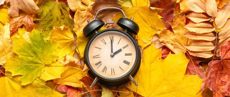 A clock pointing to 2 o'clock in a bed of fall coloured leaves