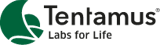 A pixelated image with a green circle and a black and gray background.