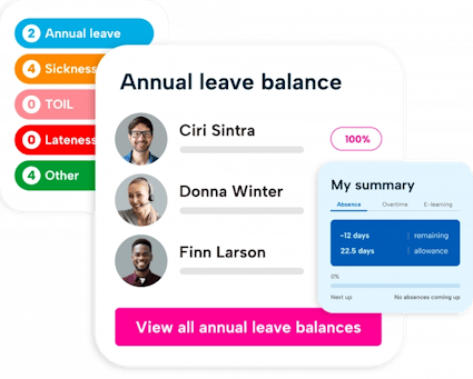 Annual Leave Summary