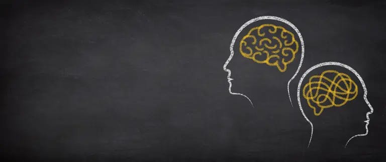 Two human heads are depicted in the image, each with a brain drawn on it. The brains are painted in a yellow color, and they are positioned side by side, facing the same direction. The image is set against a black background, which serves as a stark contrast to the white chalk drawing of the brains. The image does not contain any text or additional elements. The overall composition is simple and focused on the drawing of the brains.