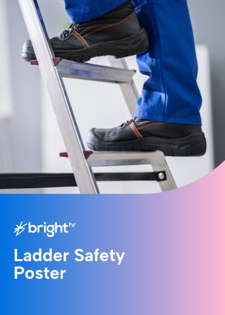 Safe use of Ladders and Stepladders Poster