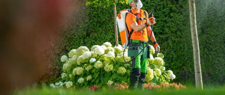 A man in an orange vest and green pants is walking on a path, holding a camera in his right hand. He is carrying a backpack and is wearing a hat. The man is walking past a large bush with white flowers and a tree. The background is blurred, but it appears to be a garden or park.