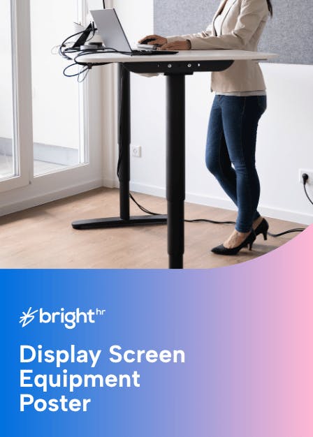 Display Screen Equipment (DSE) Poster