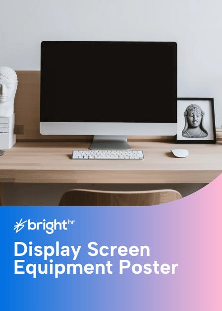 Display Screen Equipment Poster