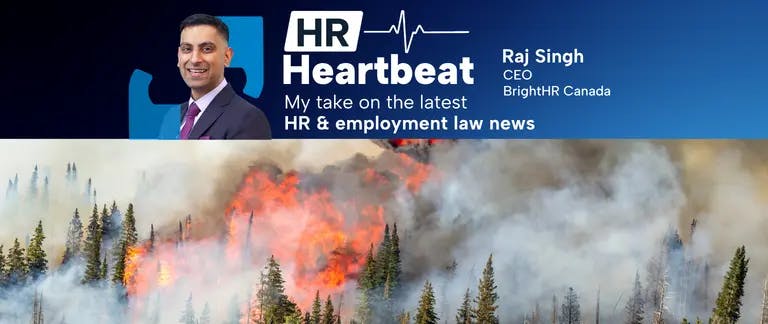 An active forest fire is raging. there are trees blanketed in flames and smoke An active forest fire is raging. there are trees blanketed in flames and smoke