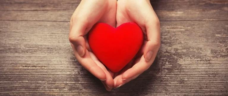 Early pregnancy loss leave A person is holding a red plush heart in their cupped hands above a wooden table