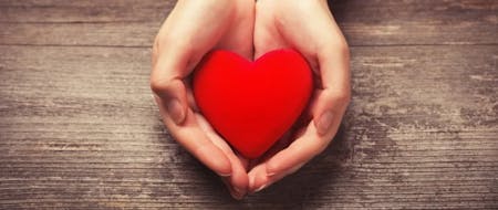Early pregnancy loss leave A person is holding a red plush heart in their cupped hands above a wooden table